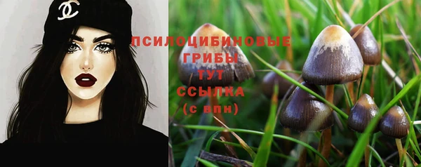 ГАЛЛЮЦИНОГЕННЫЕ ГРИБЫ Алексеевка