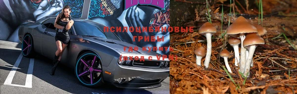 ГАЛЛЮЦИНОГЕННЫЕ ГРИБЫ Алексеевка