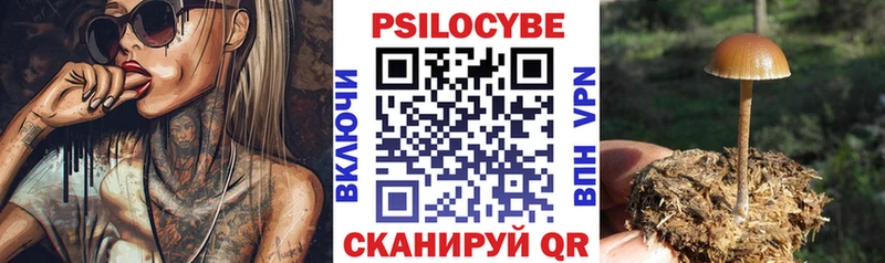 купить закладку  Раменское  Псилоцибиновые грибы GOLDEN TEACHER 