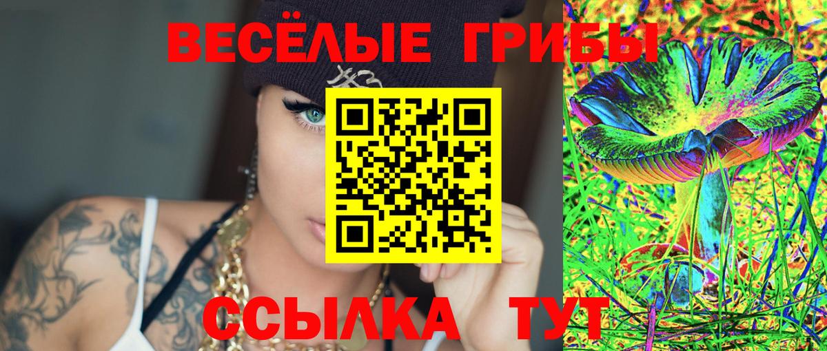 Псилоцибиновые грибы Psilocybine cubensis  Вход с VPN  Раменское 