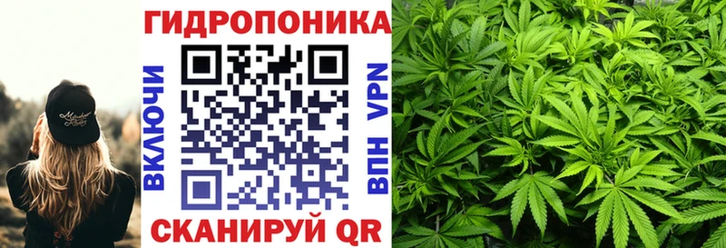 Конопля сатива  OMG зеркало  Раменское  купить  